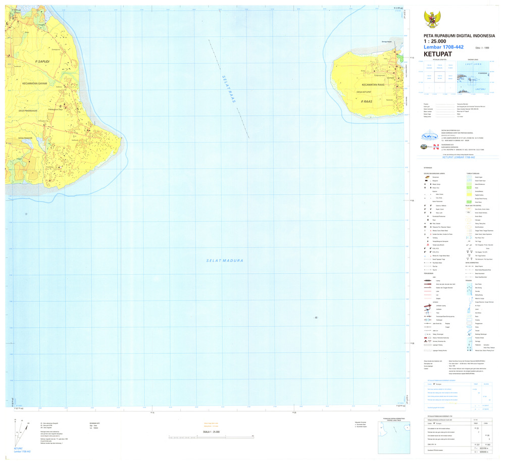 (image for) Indonesia Java #1708-442: Ketupat - Click Image to Close