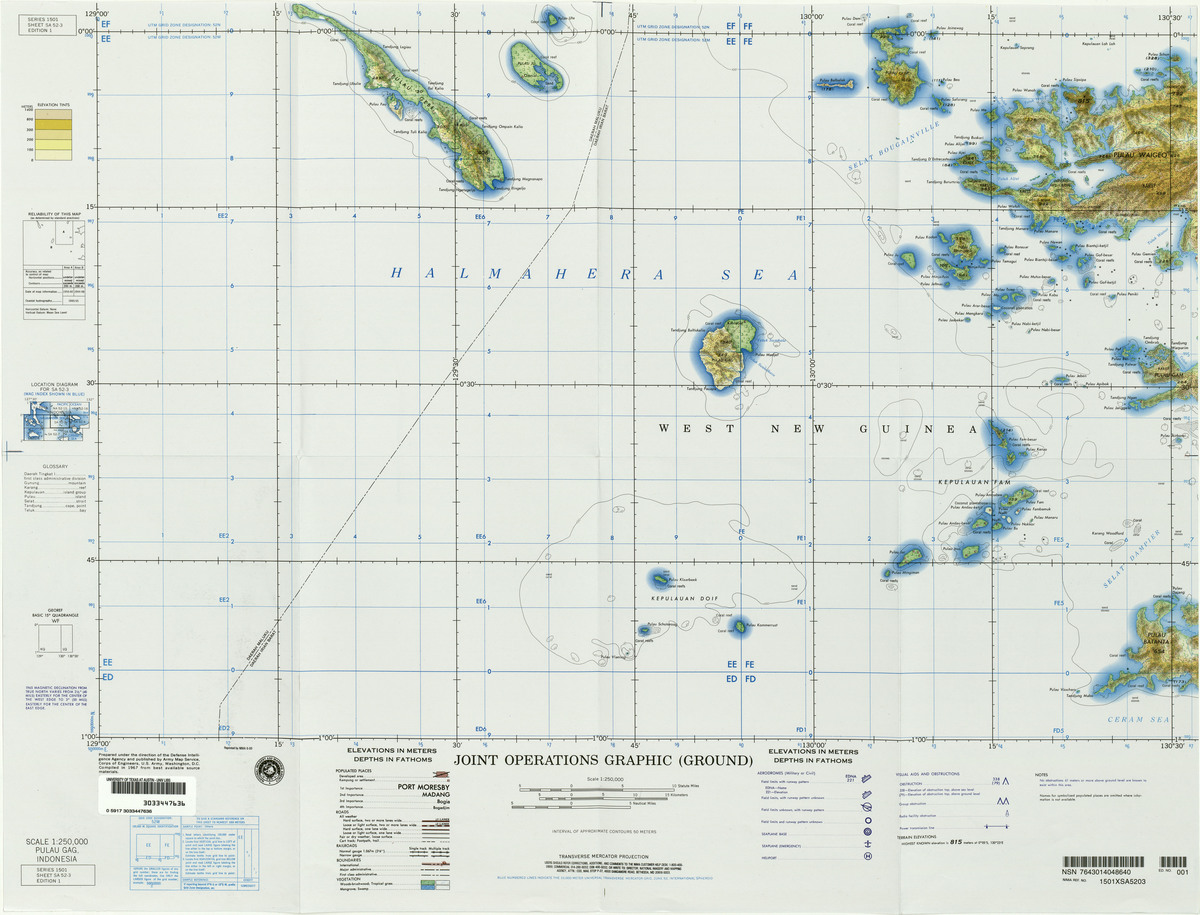 (image for) SA-52-03: Pulau Gag, Indonesia - Click Image to Close