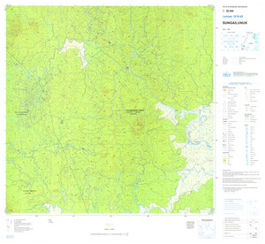 (image for) Indonesia Kalimantan #1816-042: Sungailunuk