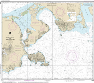 (image for) Morzhovoi Bay and Isanotski Strait