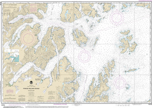 Prince William Sound-Port Fidalgo and Valdez Arm - $20.00 : Charts and 