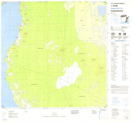 (image for) Indonesia Kalimantan #1812-023: Sungaidusun